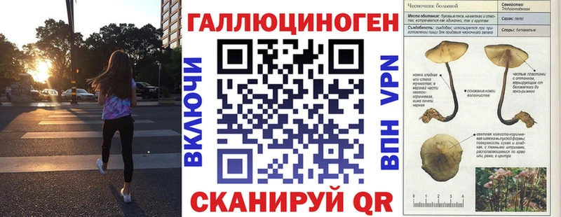 omg ссылка как найти закладки Новотроицк Галлюциногенные грибы ЛСД