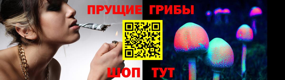даркнет сайт  Галлюциногенные грибы Psilocybine cubensis  Вход с VPN  Галлюциногенные грибы Psilocybine cubensis  Новотроицк 